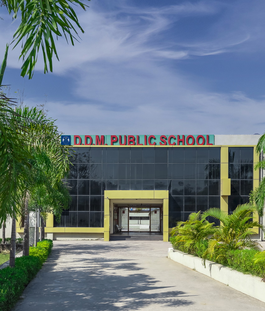 DDM Public School